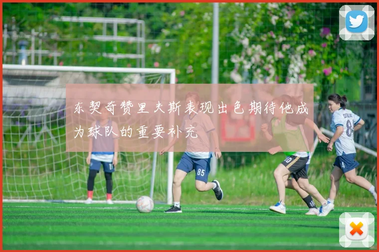 东契奇赞里夫斯表现出色期待他成为球队的重要补充
